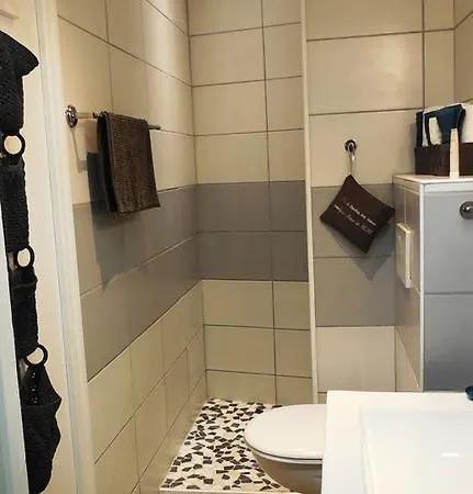 Διαμέρισμα Studio Le Vieux Βισύ